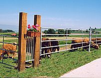 Weidezaun aus Eisenbahnschwellen