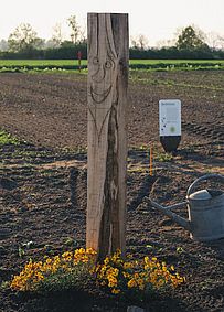 Bienenhotel aus eiche