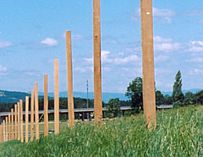 Zaunpfosten aus Eichenholz