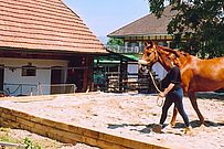 Sandviereck aus Gartenschwellen